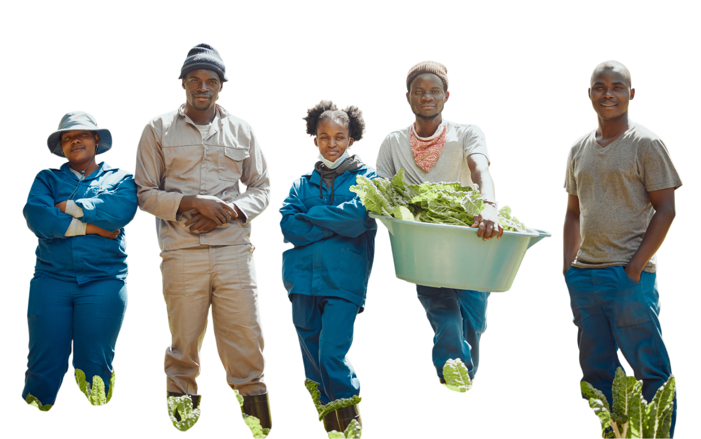 How It Works Background